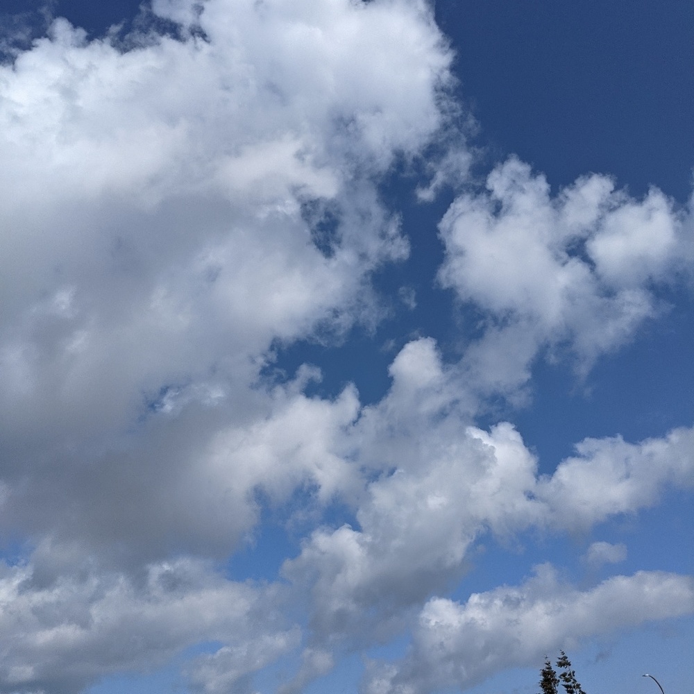 Meet your Posher, Katey